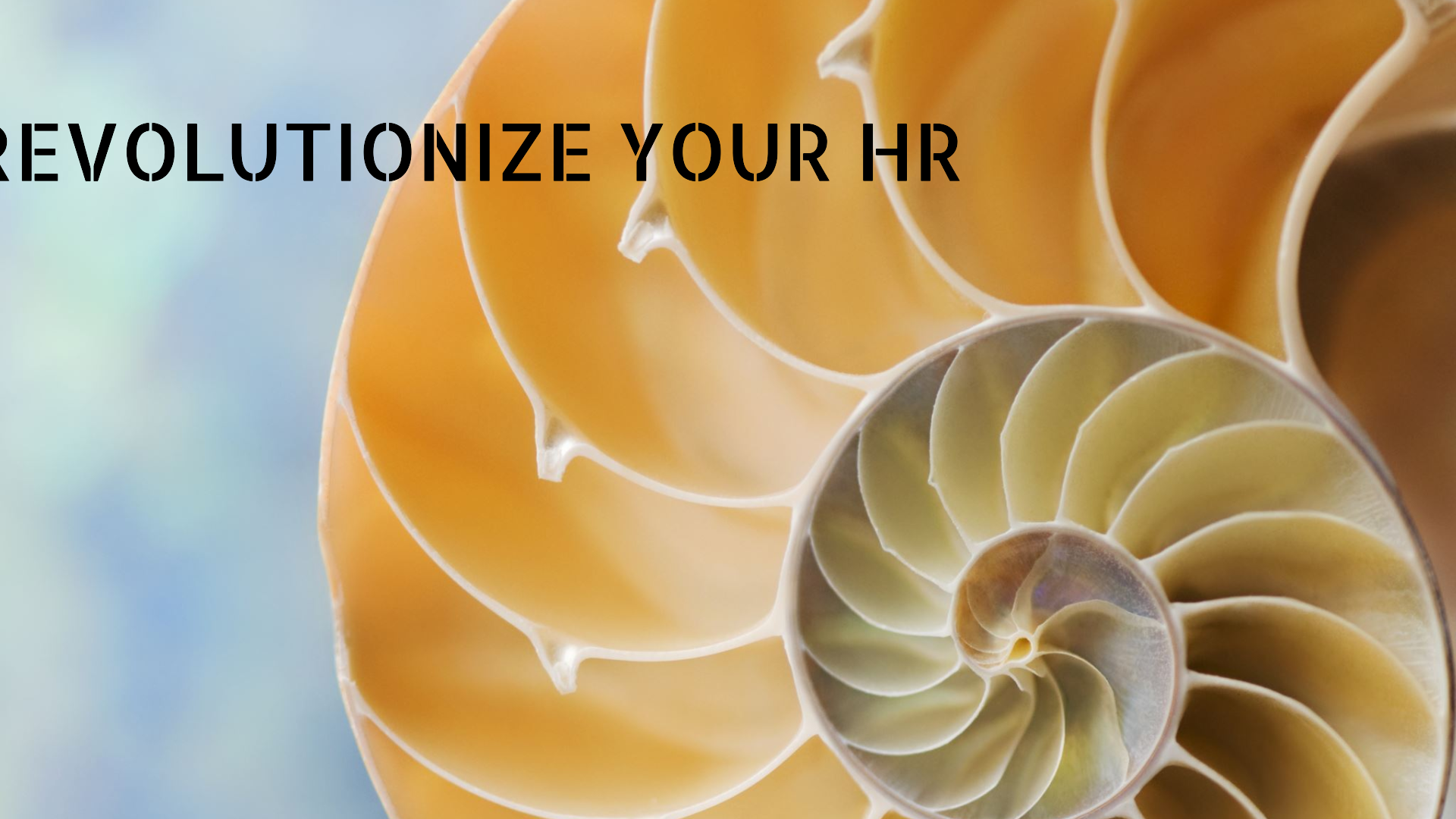 Empower Your Organization with an Effective HR Tech Stack