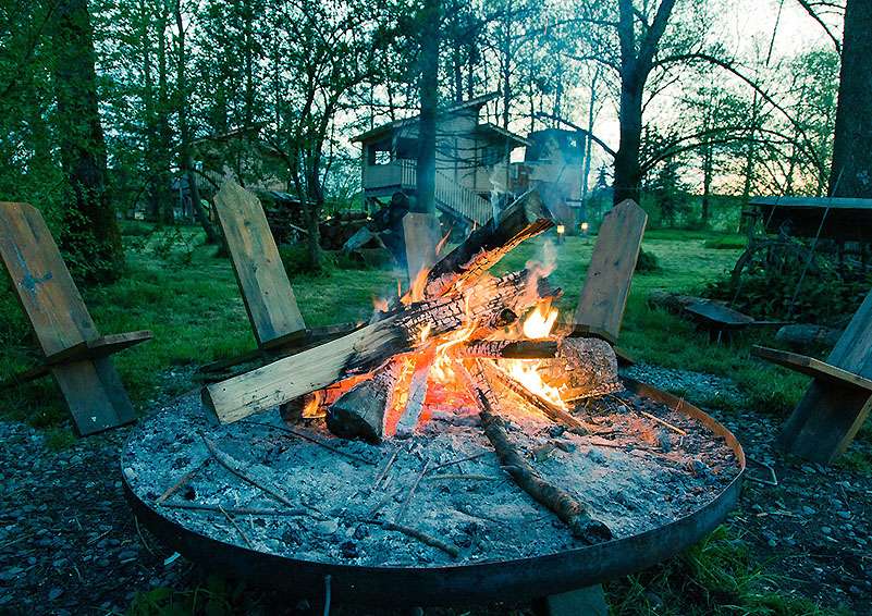 From Campfires to Platforms: What Banking Can Learn from the Music Industry’s Disruption.