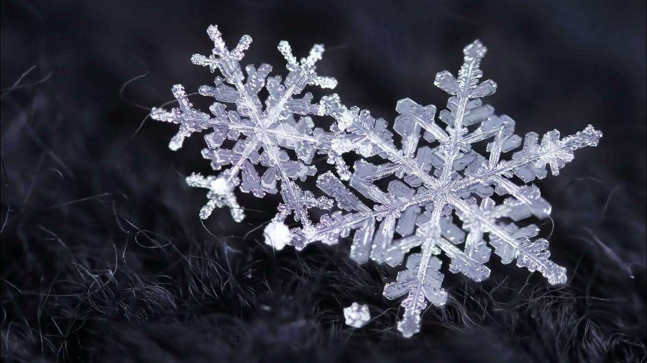 Snowflake Acquires Crunchy Data to Launch Enterprise-Ready Postgres Offering.